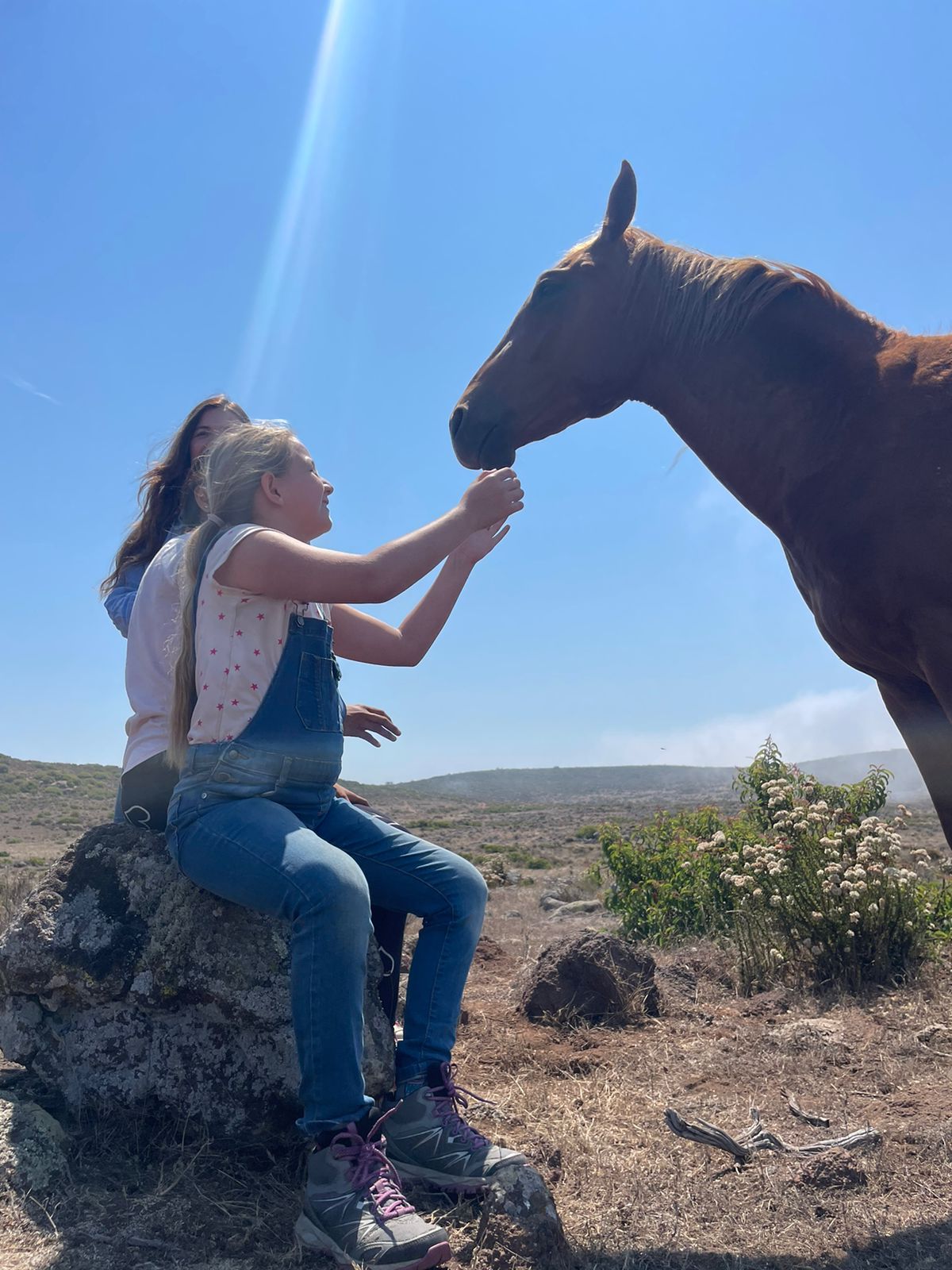 Niña con caballo en campo abierto