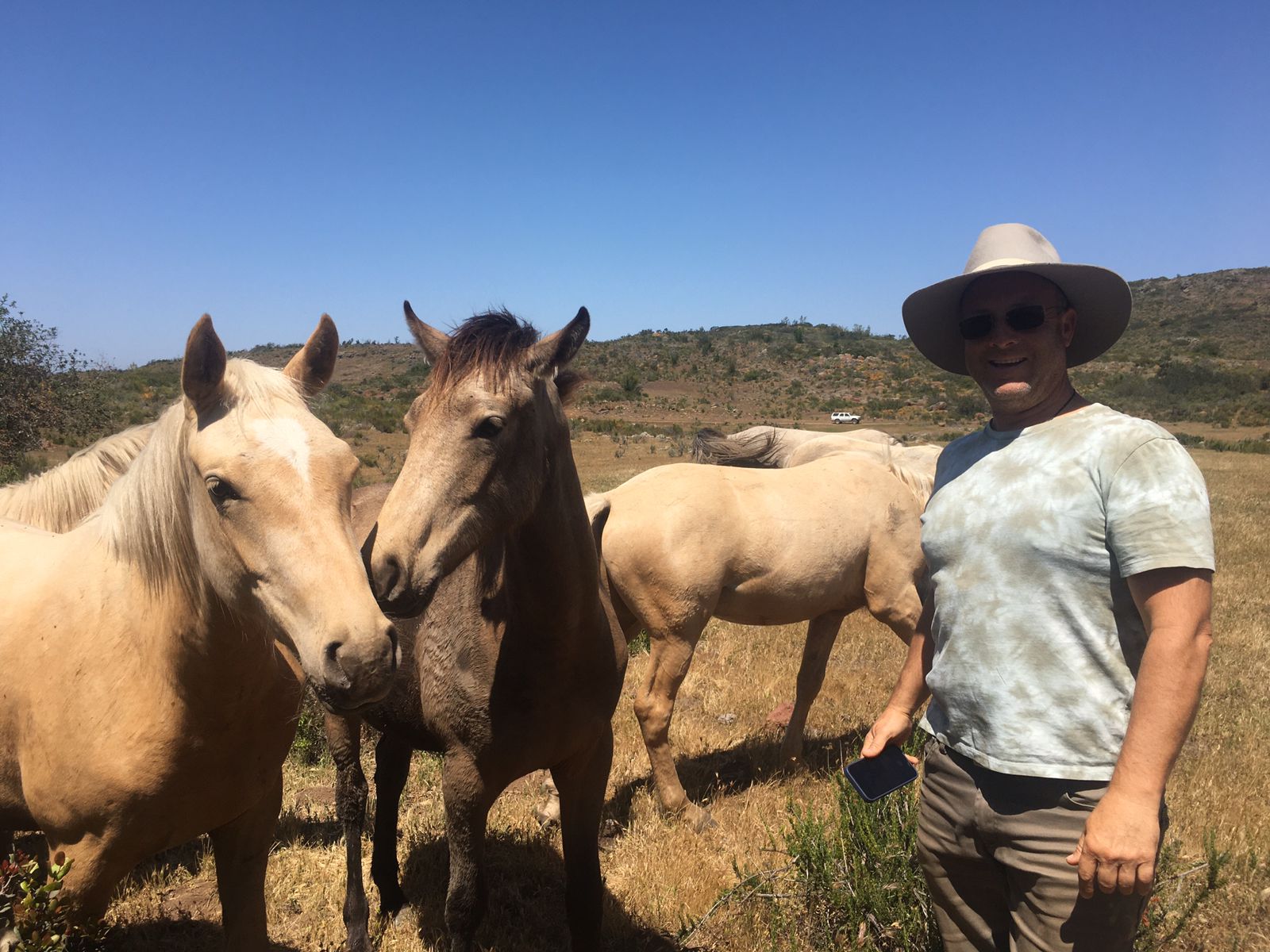 Walker con los caballos