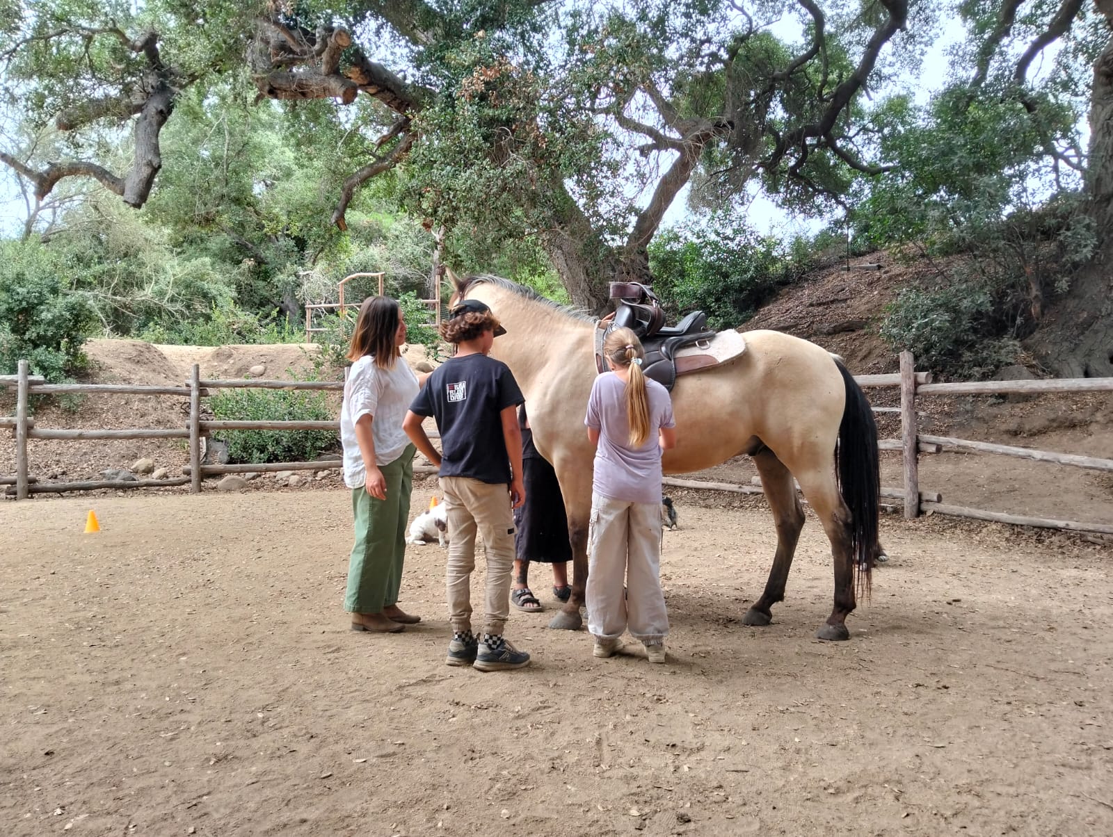 Grupo con caballo