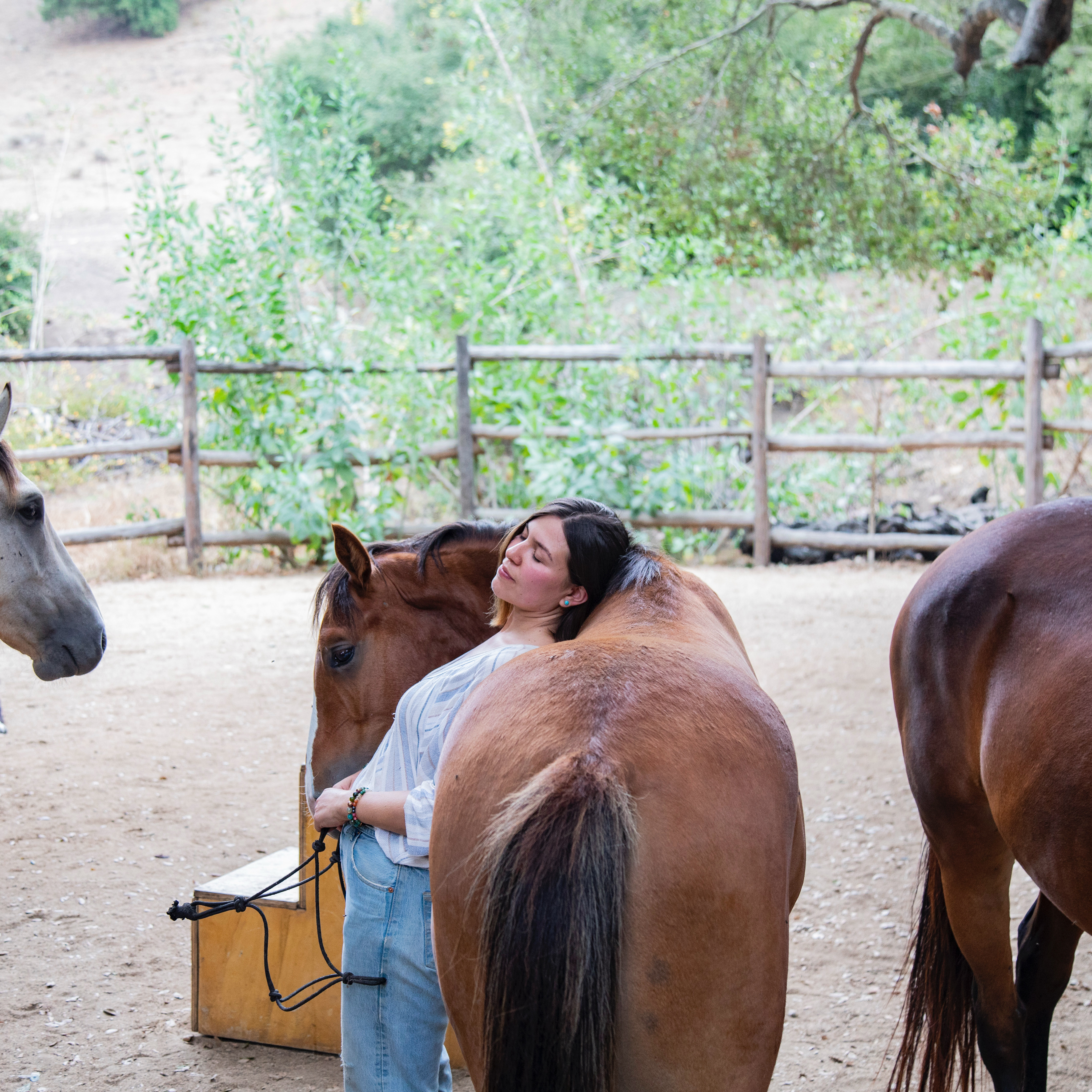 Visita privada con caballos en Heart Horse