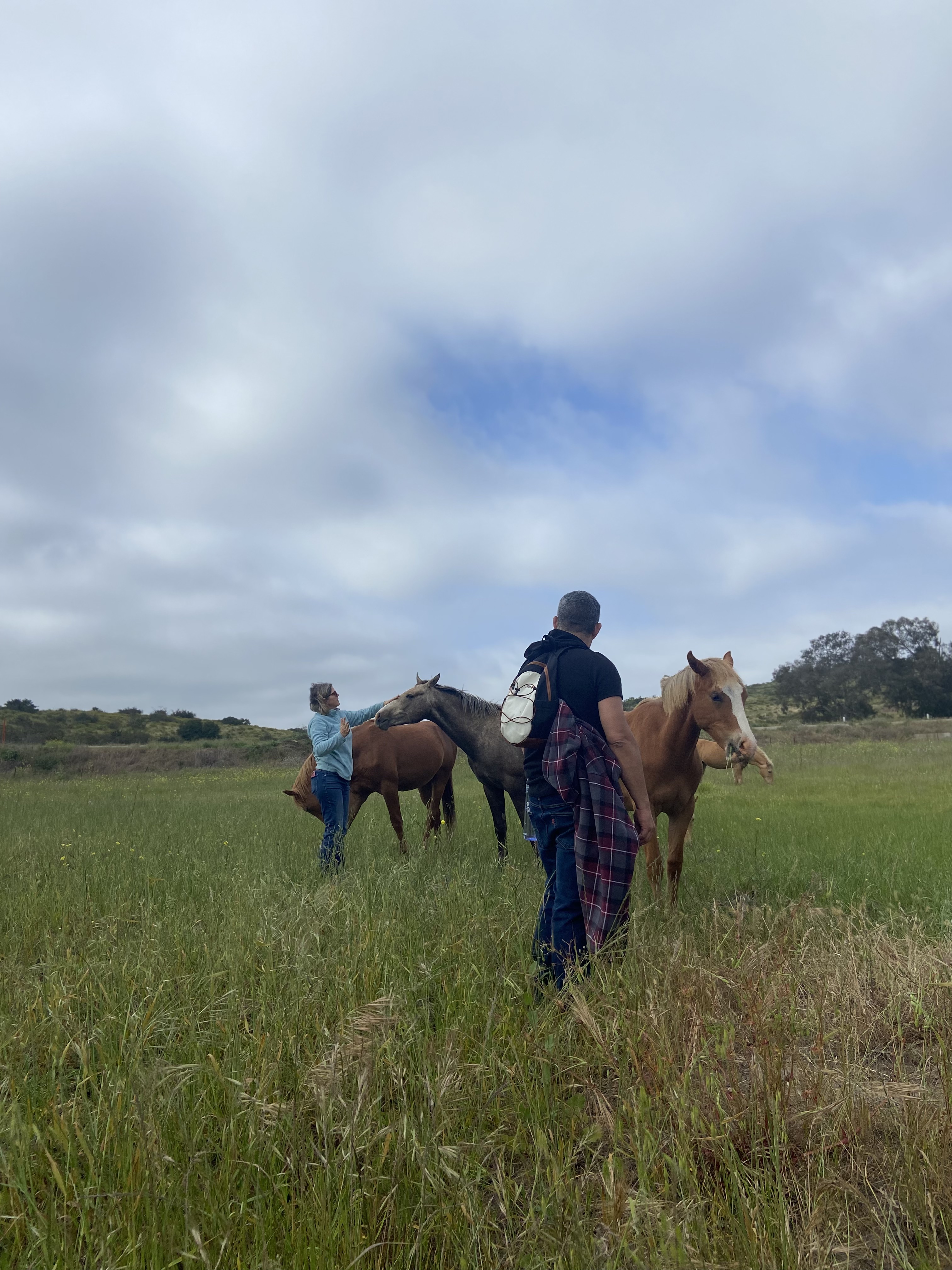 Personas con la manada