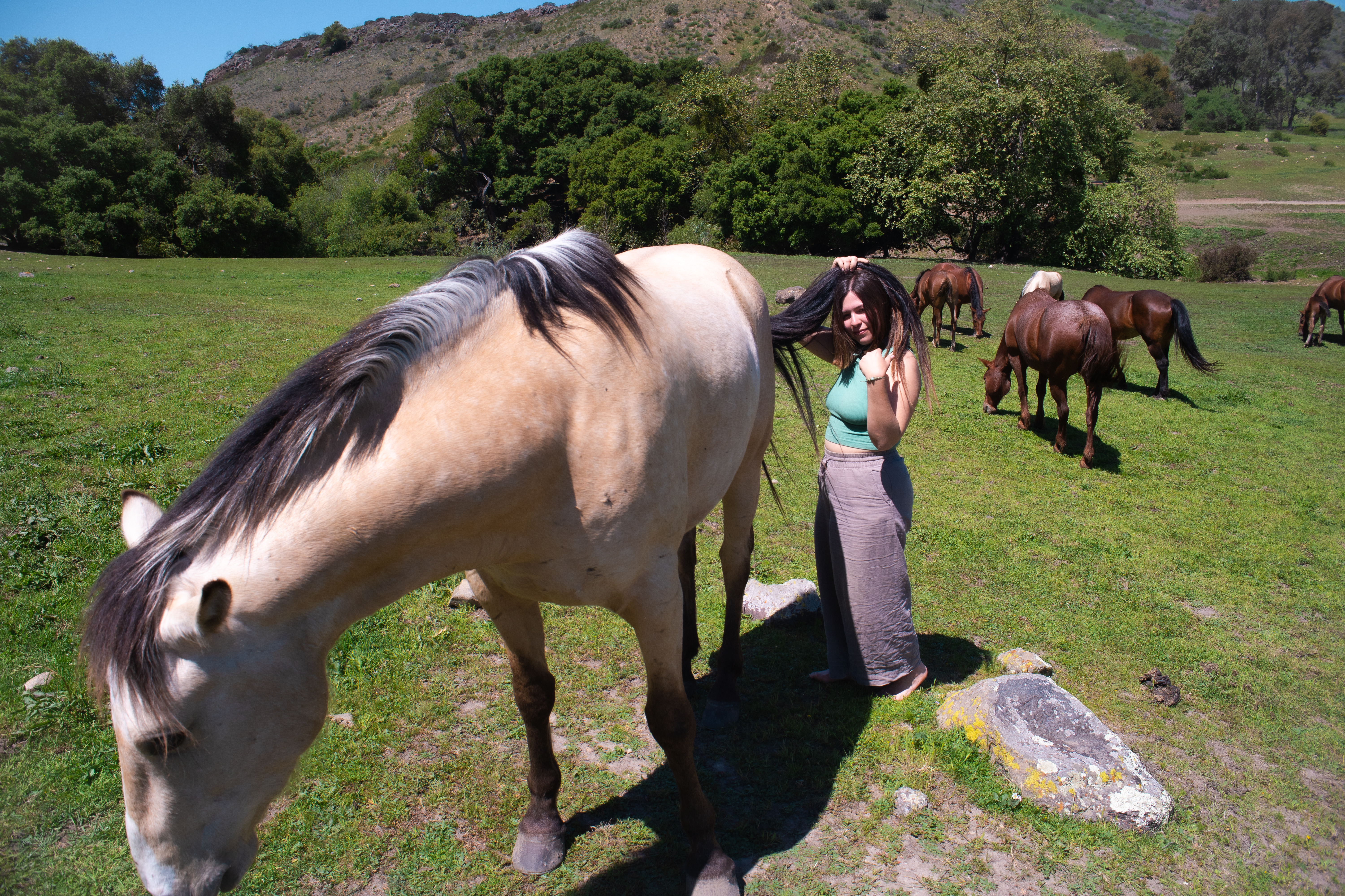 Fogata en el rancho