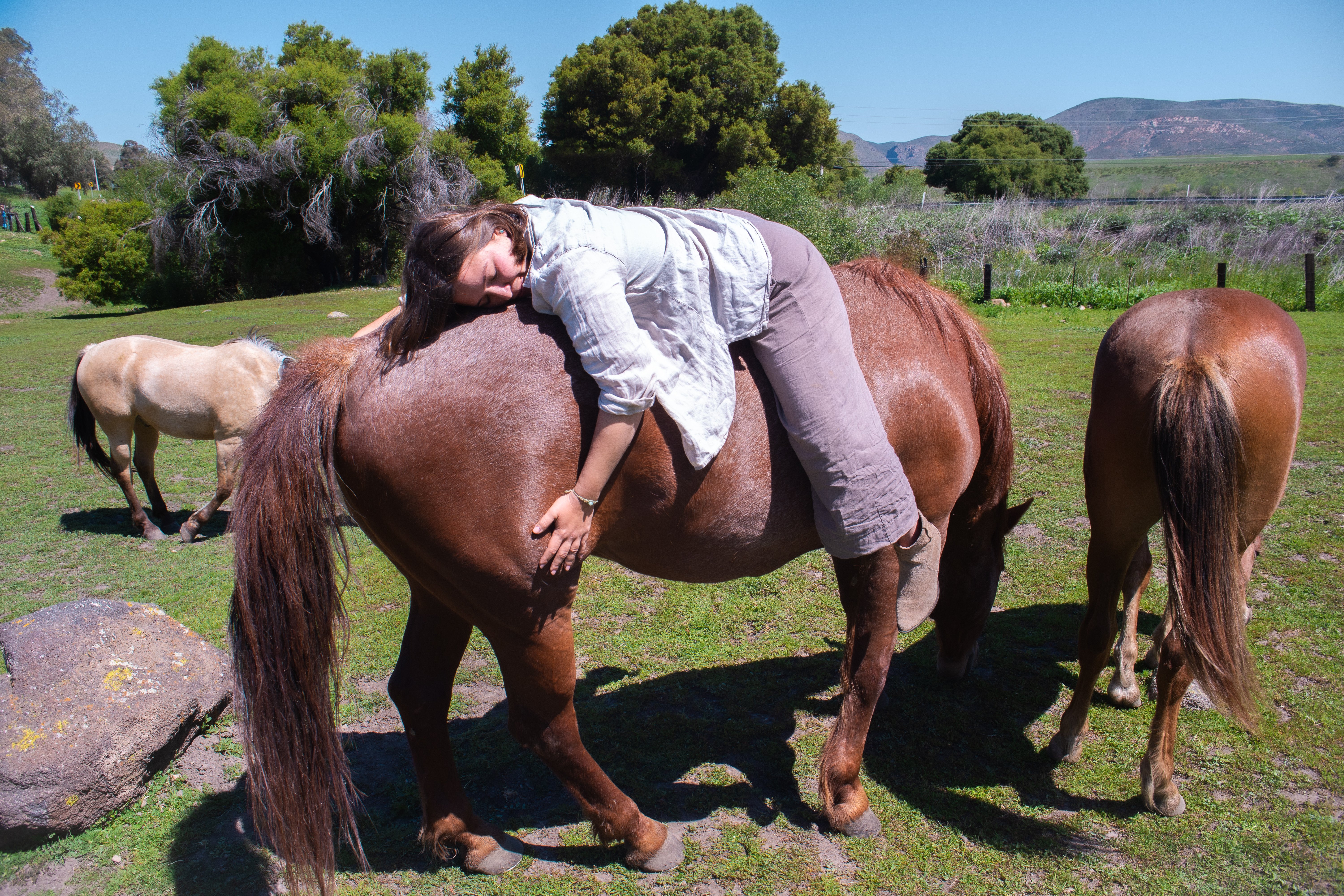 Momento de conexión con los caballos