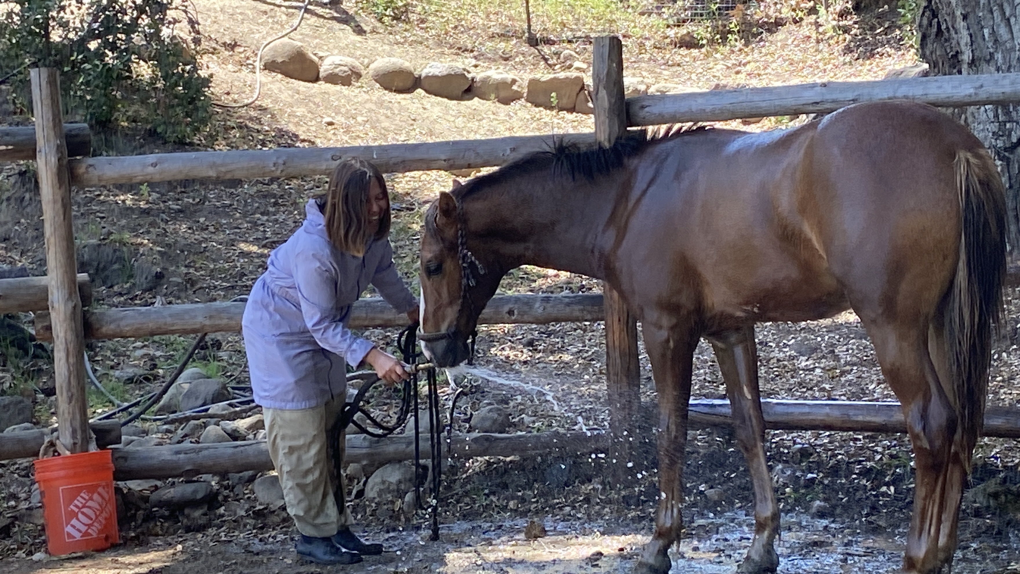 Cuidado de caballos