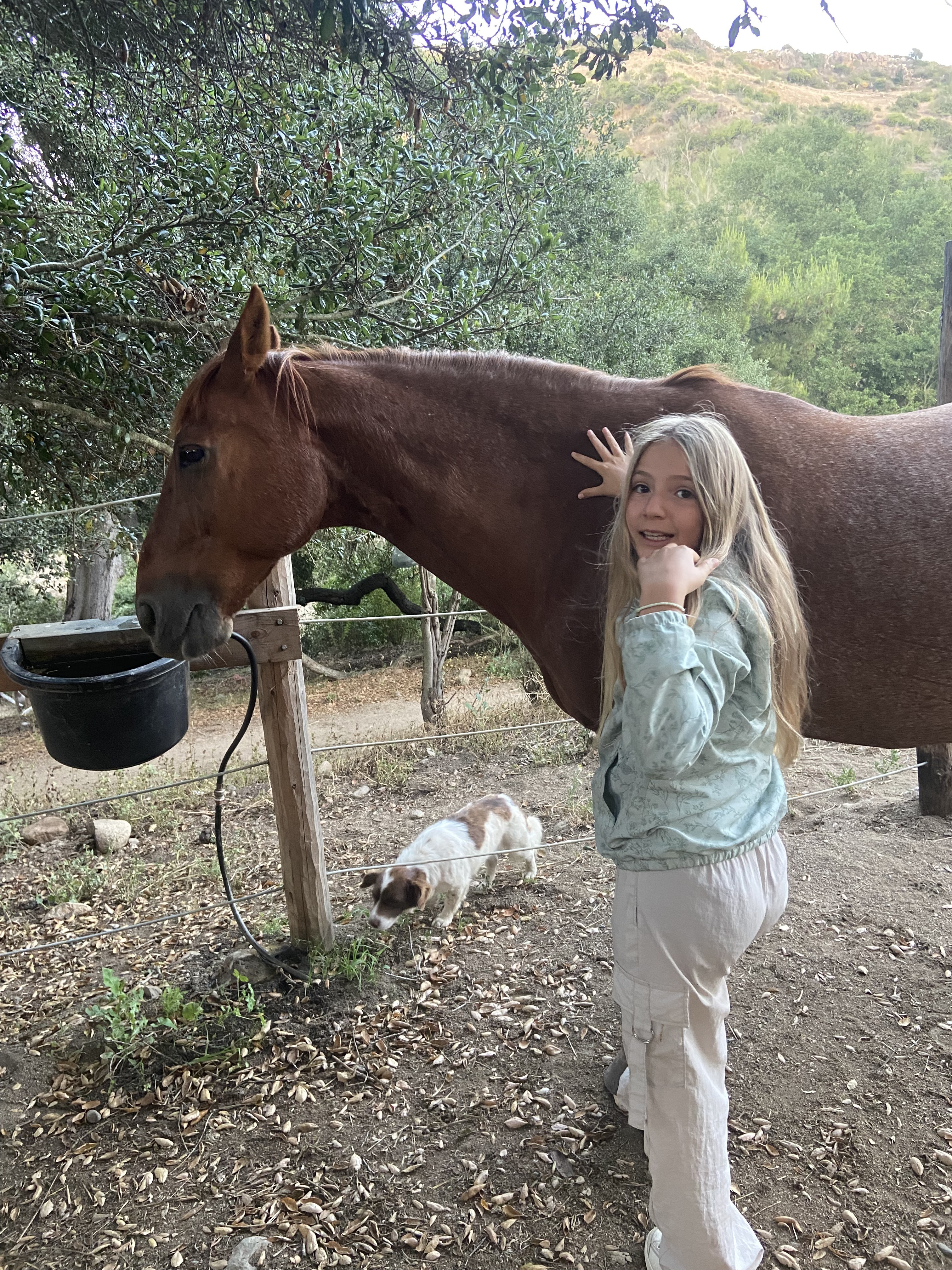 Visita privada en Heart Horse Sanctuary