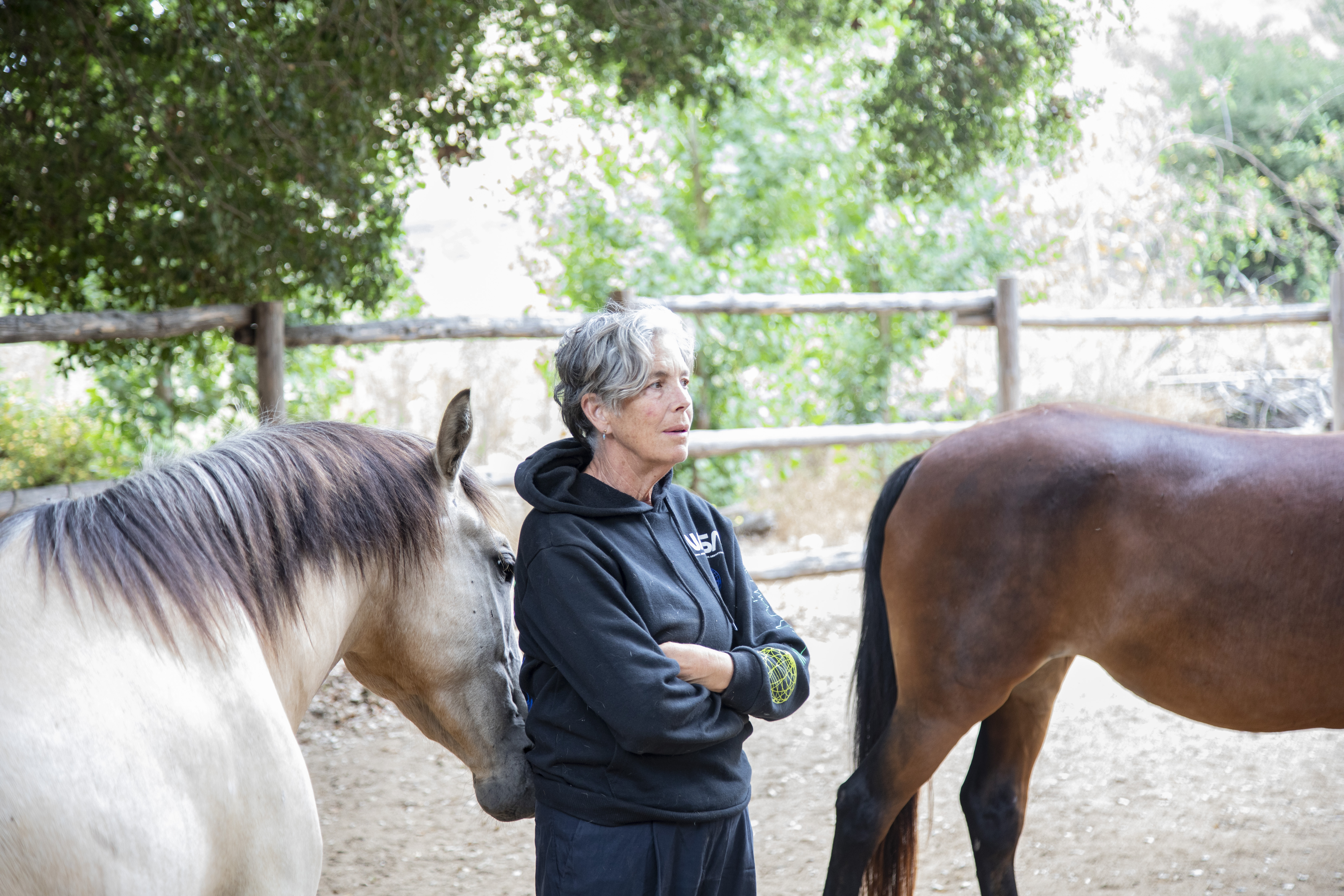 Walker entre sus caballos