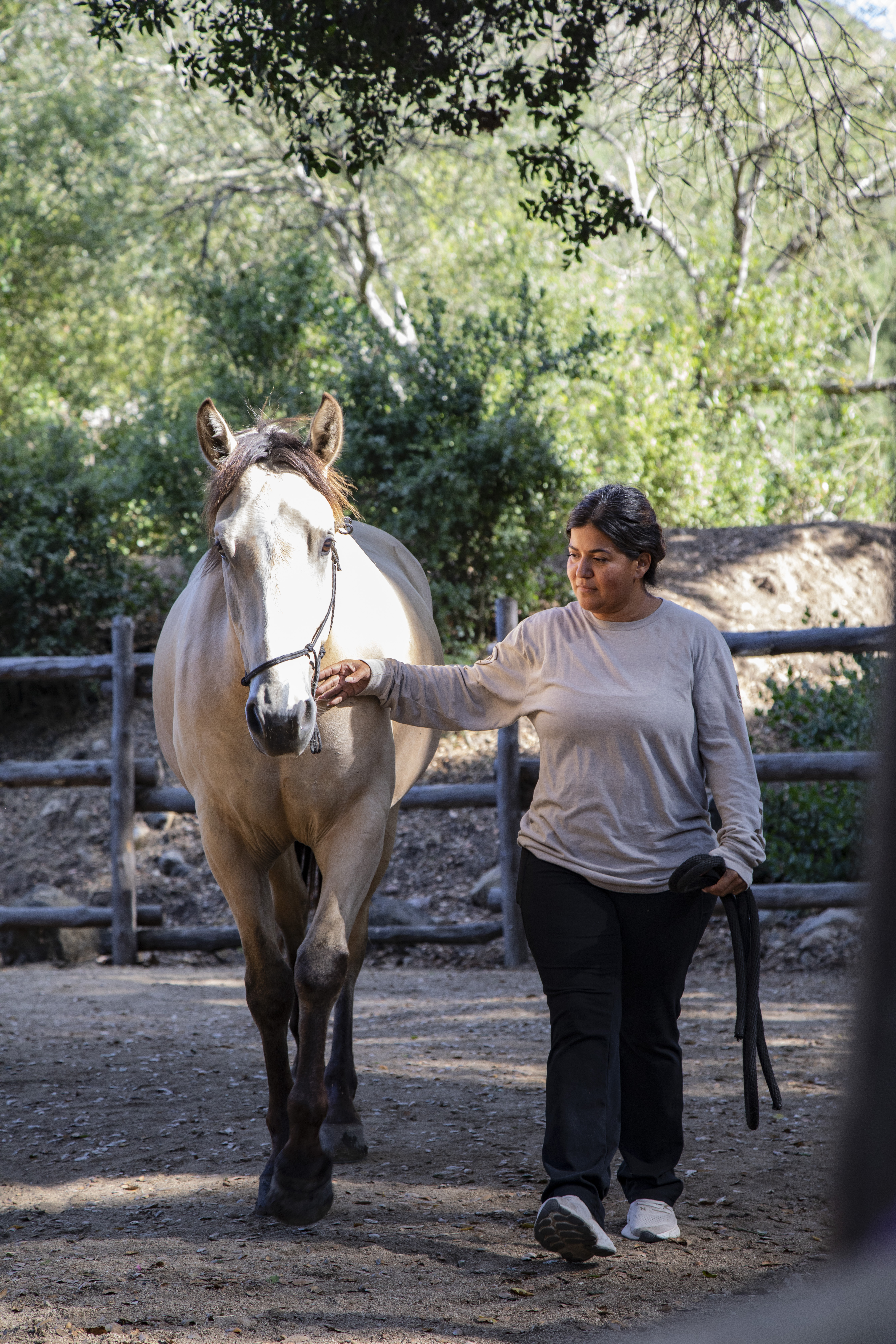 Sesión de terapia En Manada en Heart Horse