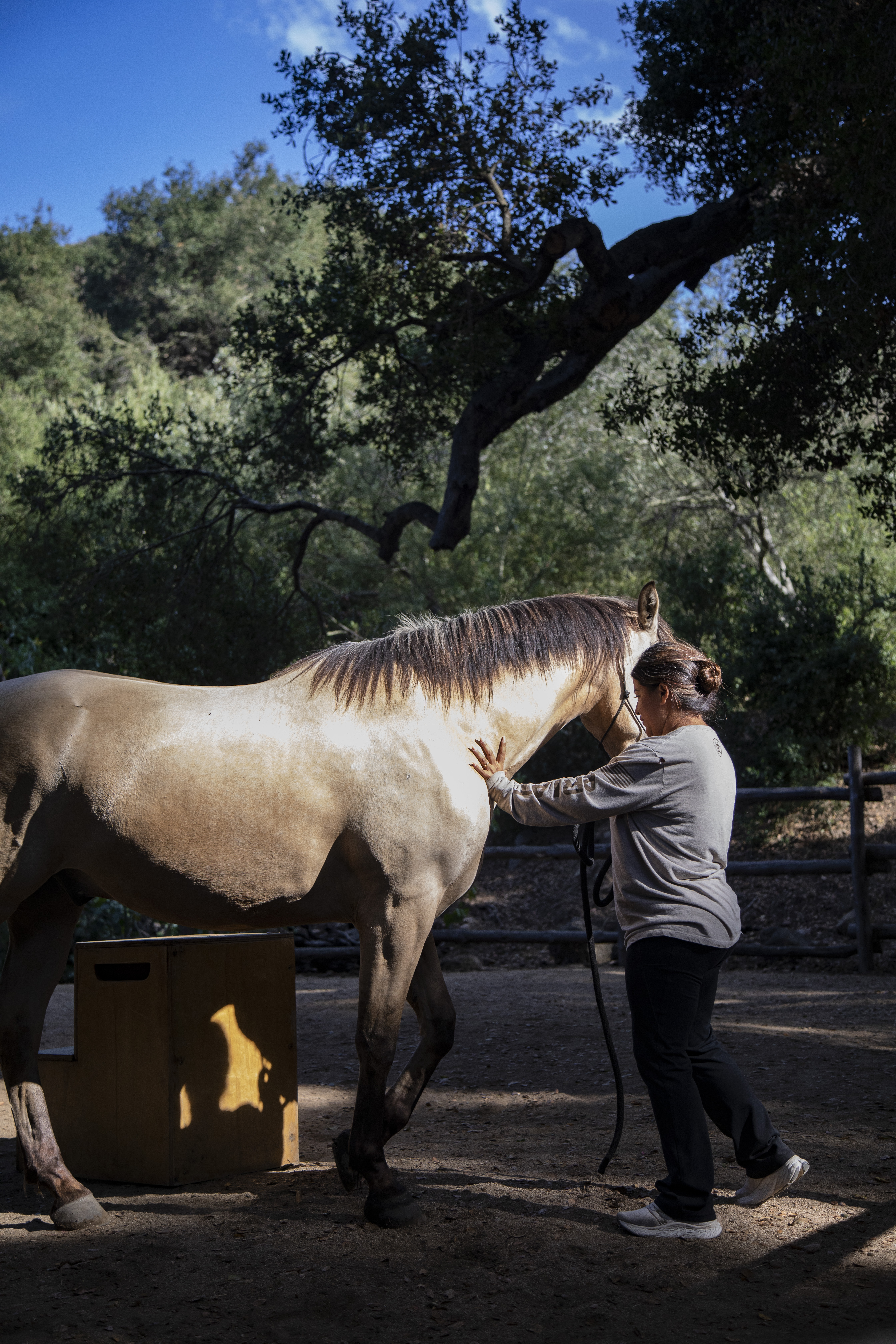 Terapia asistida por caballos en Heart Horse