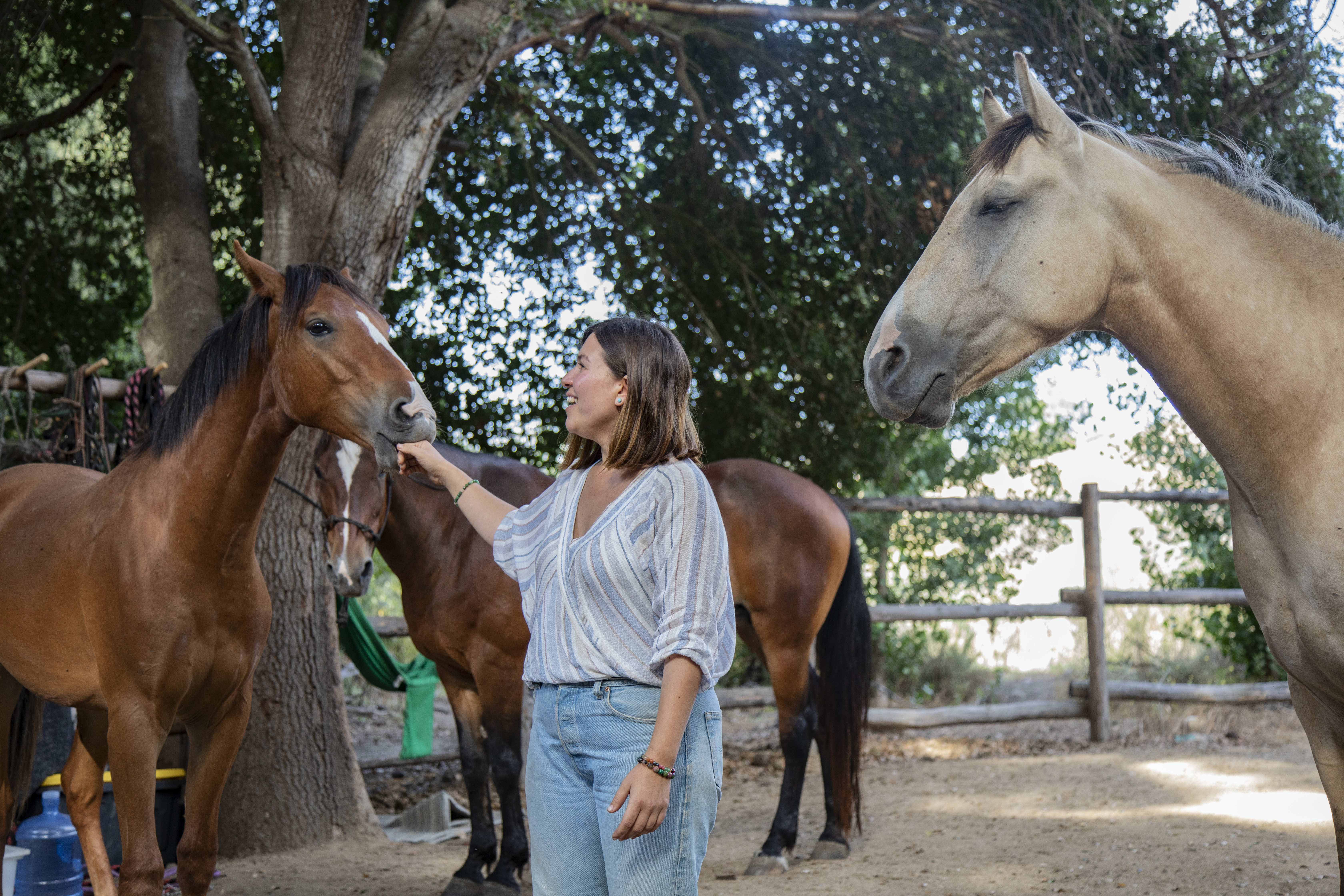 Caballos en Heart Horse