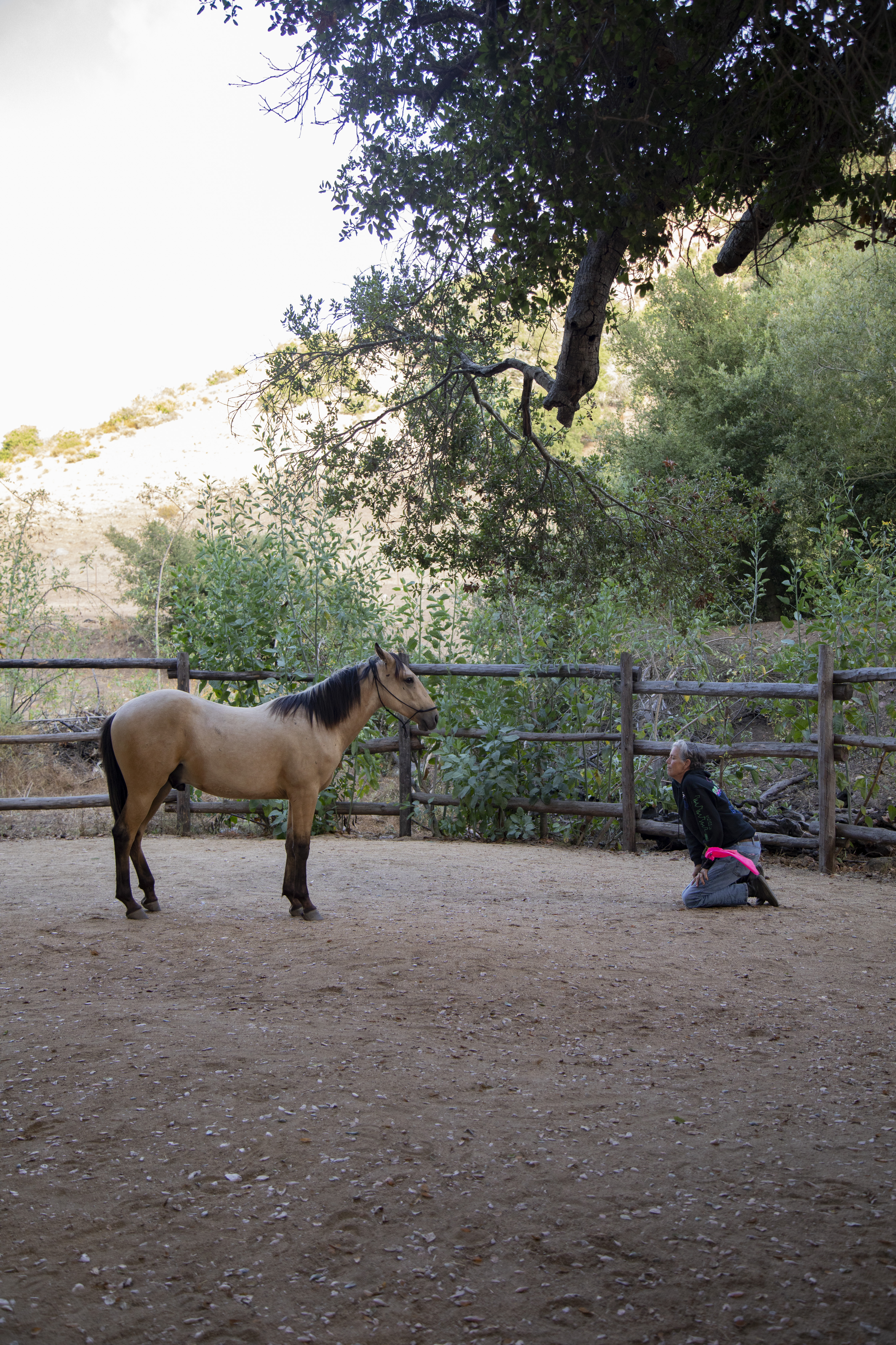 Walker en doma natural