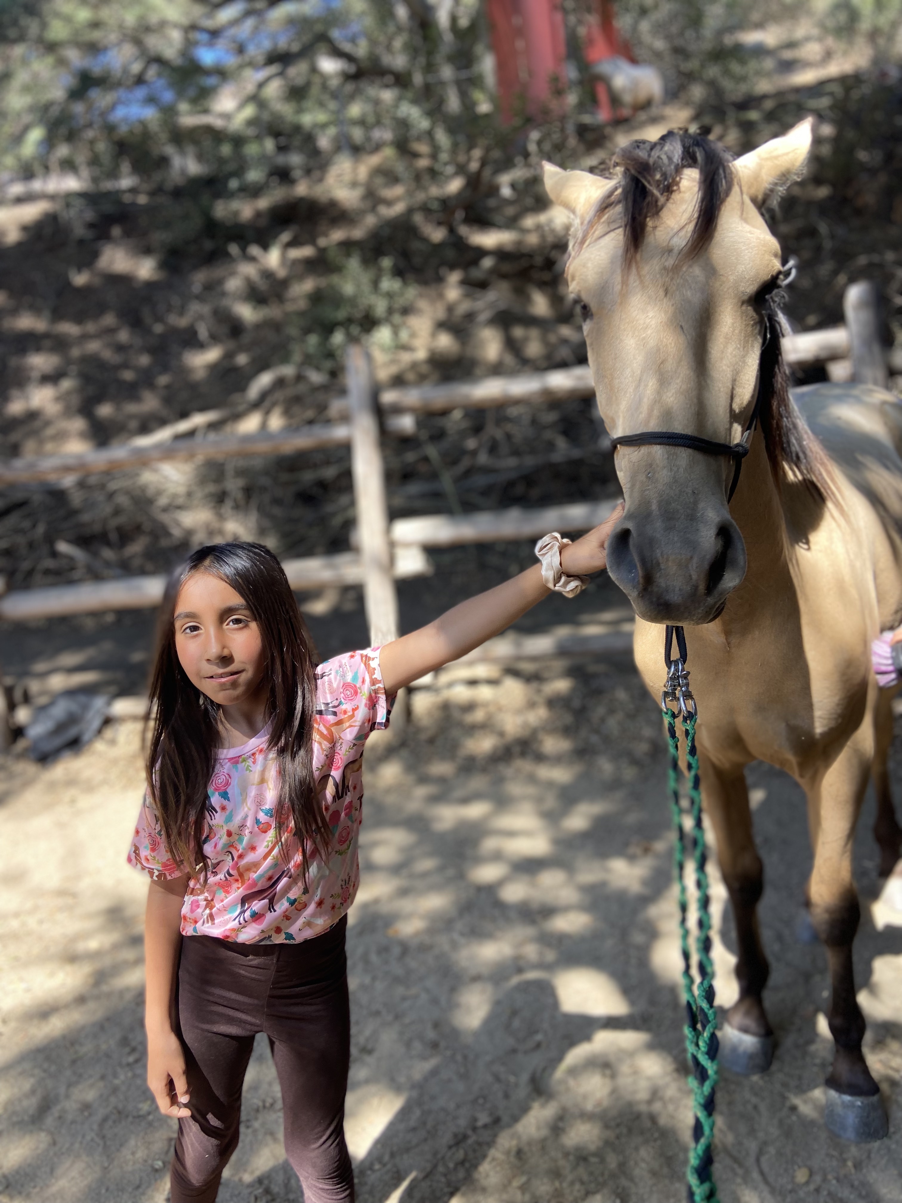 Niña con caballo bayo