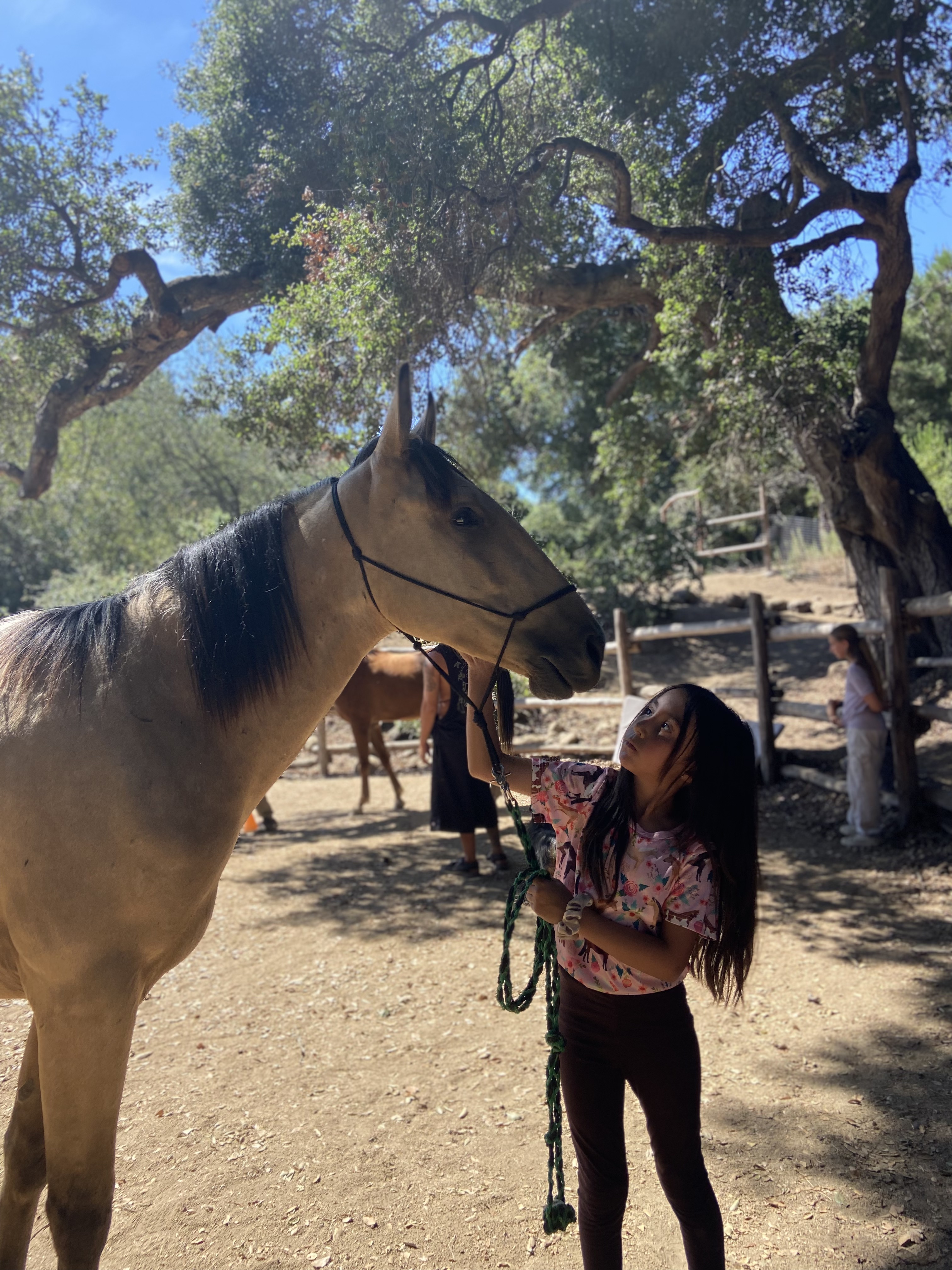 Horse Camp de Día Heart Horse