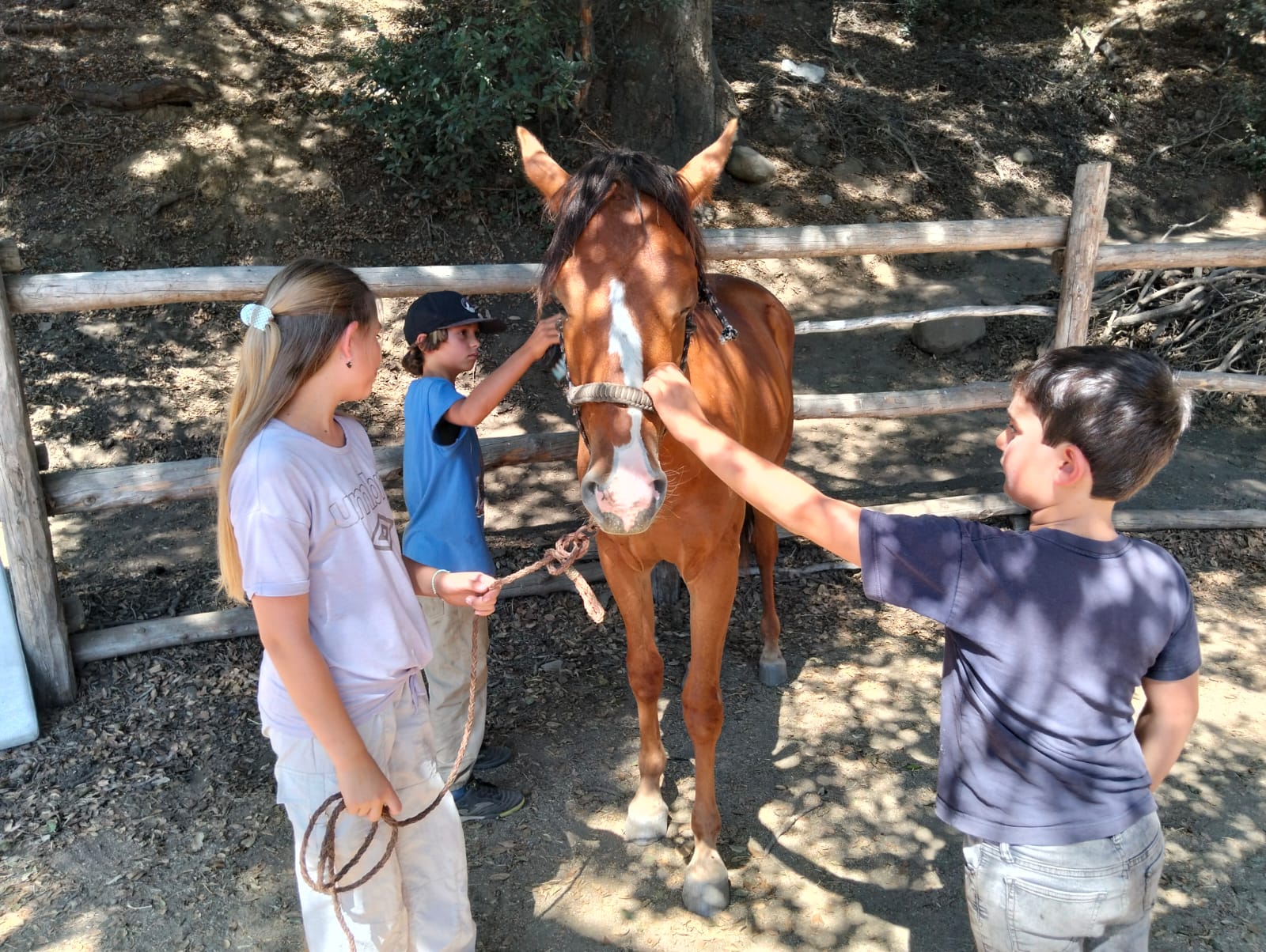 Niños con caballo alazán